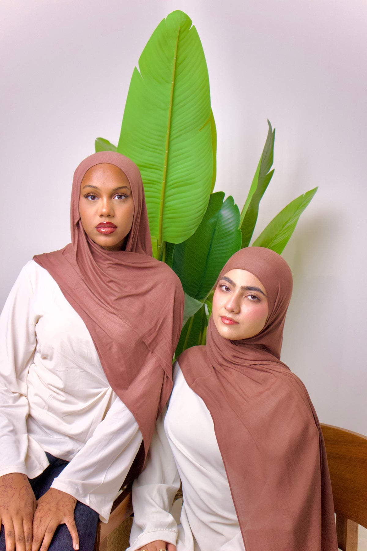 Brown Modal