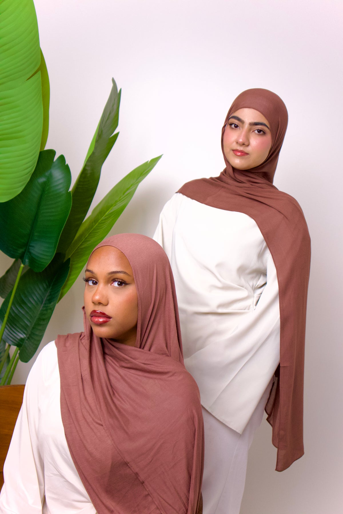 Brown Modal